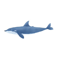 Fototapeta premium a single isolated blue watercolor whale on a transparent background