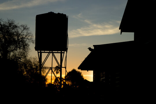 Kookaburra, house and water tank silhouette