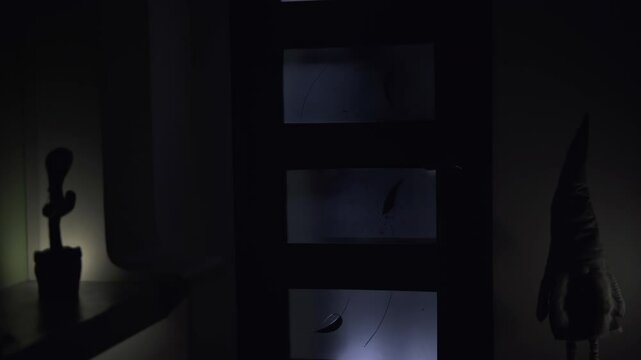 The shadow of a man with a flashlight appears behind a glass door in a dark room