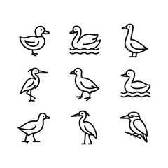 Fototapeta premium Duck swan pond icons collection. Outline symbols. Line design