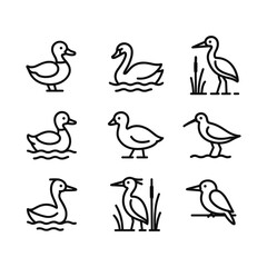 Obraz premium Aquatic bird pond icon collection. Outline symbols. Line design