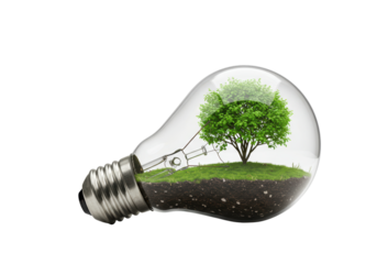 Isolated Light Bulb with Growing Tree Inside