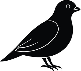 vector illustration of a bird