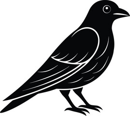 vector illustration of a bird