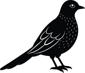 vector illustration of a bird