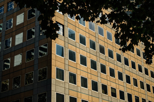 High Rise City Building in Melbourne