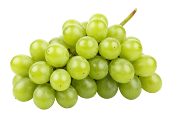 Isolated Fresh Bunch of Green Grapes with Dew Drops