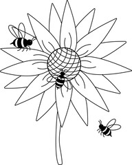 Sunflower and bee composition. Vector graphic line illustration. Perfect for cards, decorations, stickers, logo, menu, various designs. For logo, web, package, sticker.