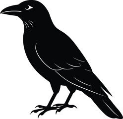 vector illustration of a bird