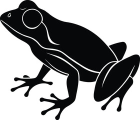 vector illustration of a frog