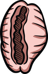 Hand drawn clipart illustration of seashell shell mollusc seaside shellfish 