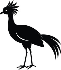 Fototapeta premium vector illustration of a bird