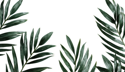 Tropical Leaves Dark Background