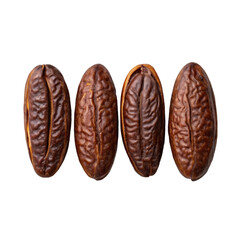 Tonka beans isolated on transparent background with rich dark color and wrinkled aromatic texture
