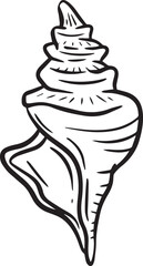 Hand drawn clipart illustration of seashell shell mollusc seaside shellfish 
