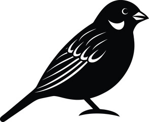 vector illustration of a bird