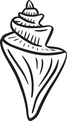 Hand drawn clipart illustration of seashell shell mollusc seaside shellfish 