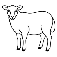 Simple Sheep Vector