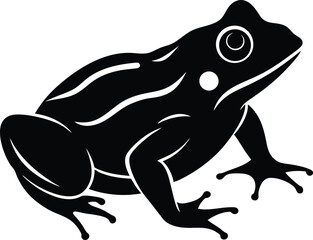 frog vector illustration