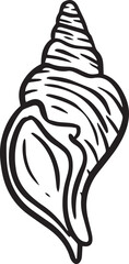 Hand drawn clipart illustration of seashell shell mollusc seaside shellfish 