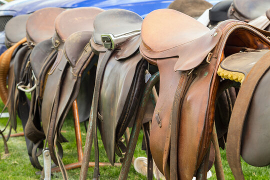 A collection of saddles hanging in a row