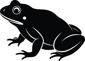vector illustration of a frog