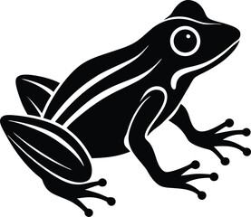 vector illustration of a frog