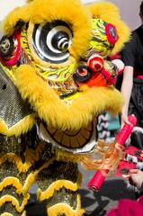 Vibrant Lion Dance Costume at Festival
