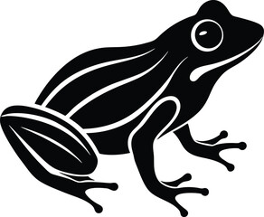 vector illustration of a frog