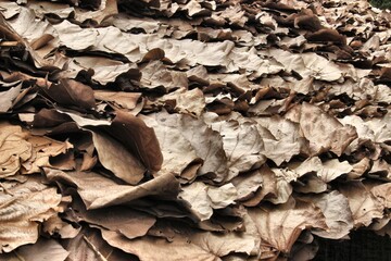 Traditional Thai Banana Leaf Roof – Eco-Friendly Northern Thailand Architecture Detail