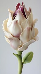 Fototapeta premium Elegant single artificial flower bloom with cream petals and purple accents, studio shot