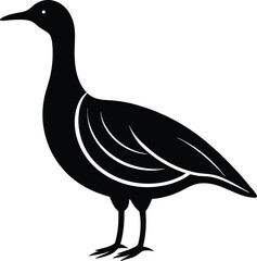 vector illustration of a goose duck 