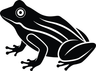 vector illustration of a frog