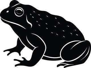 vector illustration of a frog