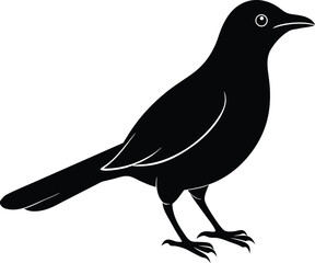 vector illustration of a bird