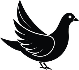 dove on white background