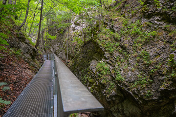 Hiking trail winds through a narrow canyon with metal walkway and railing