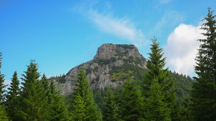Impressive rocky mountain peak rising above a dense evergreen forest against a backdrop of blue sky...