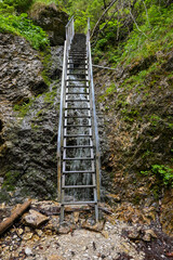 Water cascading down a metal ladder attached to a rock face in a forest creates a challenging yet beautiful hiking scene
