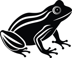vector illustration of a frog