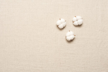 Fluffy cotton flowers on beige linen fabric, top view, flat lay