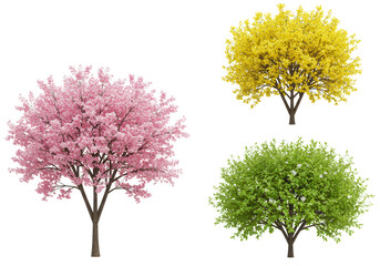 Obraz premium Three trees with pink, yellow, and green leaves stand against a transparent background