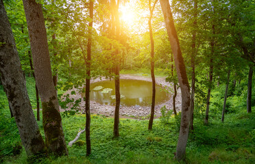 Scenic meteorite crater lake Kaali surrounded by forested terrain.