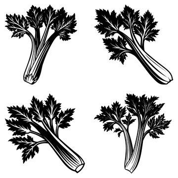 Four monochrome celery stalks with detailed leaves arranged symmetrically on a white background design element