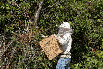 Obraz premium Imkern