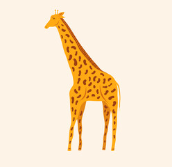 Giraffe vector illustration