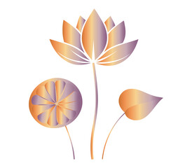 Ethereal Lotus Flower Illustration with Gradient Coloring and Stylized Design on a Black Backdrop
