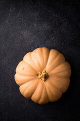 Raw fresh cut pumpkin on dark background