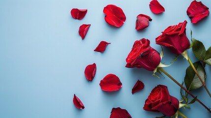 A beautiful flowers composition featuring rose flowers placed on a blue background. The vibrant red petals of the roses stand out vividly against the calm and soothing blue backdrop. The roses are arr