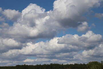Magnificent view of blooming landscape with trees against the background of beautiful blue sky. Idyllic and ecologically clean territory. Photo wallpaper. Discovery of beauty of the earth. Spring.